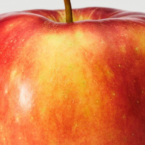Apple Polyphenols